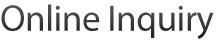 Online Inquiry 